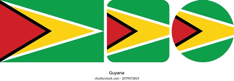 Guyana flag icon set . icons collection