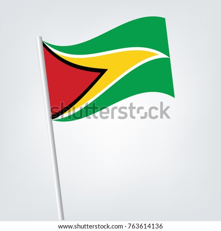 Guyana flag normal and waving flag set | abstract flag vector eps 10