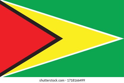 Guyana flag vector graphic. Rectangle Guyanese flag illustration. Guyana country flag is a symbol of freedom, patriotism and independence. svg