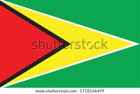 Guyana flag vector graphic. Rectangle Guyanese flag illustration. Guyana country flag is a symbol of freedom, patriotism and independence.