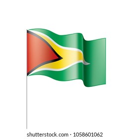 Guyana flag, vector illustration