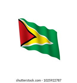 Guyana flag, vector illustration on a white background