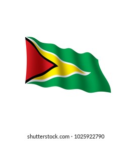 Guyana flag, vector illustration on a white background