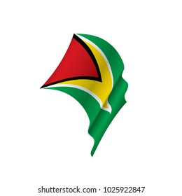 Guyana flag, vector illustration on a white background