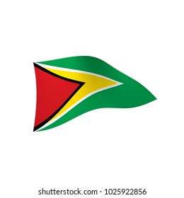 Guyana flag, vector illustration on a white background