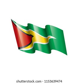 Guyana flag, vector illustration on a white background