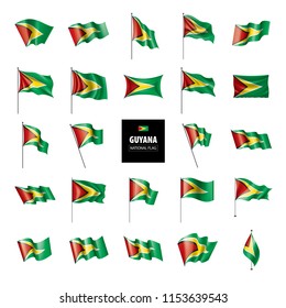 Guyana flag, vector illustration on a white background