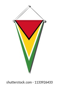 Guyana national flag