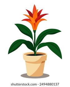 Guzmania flower. Indoor home plant in a pot. Cartoon style vector illustration.