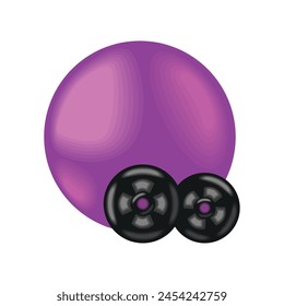 gym equipment ball and weight isolated design