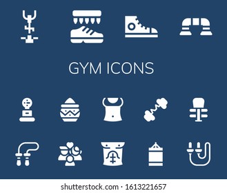 gym icon set. 14 filled gym icons. Included Stationary bike, Shoes, Sneakers, Push up, Jumping rope, Weight, Wellness, Powder, Abs, Punching ball, Barbell, Skip rope, Exercise icons
