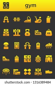 gym icon set. 26 filled gym icons.  Simple modern icons about  - Barbell, Lockers, Dumbbell, Sport shoes, Stationary bike, Isotonic, Weight, Shoe, Well, Locker, Jumping rope, Punching bag