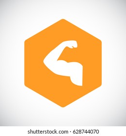  Gym icon vector.
