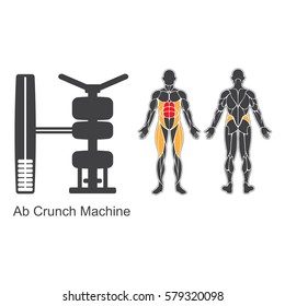 Gym machine and human muscles silhouettes isolated on white background