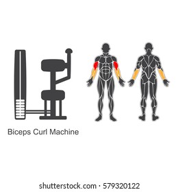 Máquina de gimnasia y siluetas de músculos humanos aisladas sobre fondo blanco