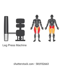 Gym machine and human muscles silhouettes isolated on white background