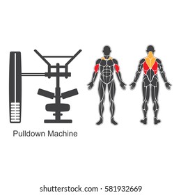 Gym machine and human muscles silhouettes isolated on white background