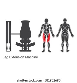 Gym machine and human muscles silhouettes isolated on white background