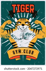 Gym sport club or fitness center typographic vintage grunge poster or emblem design with athletic muscular animal mascot. Tiger bodybuilder. Retro vector illustration.
