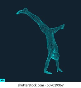 Gymnast. Man. 3D Model of Man. Human Body Model. Gymnastics Activities for Icon Health and Fitness Community. Vector Illustration.