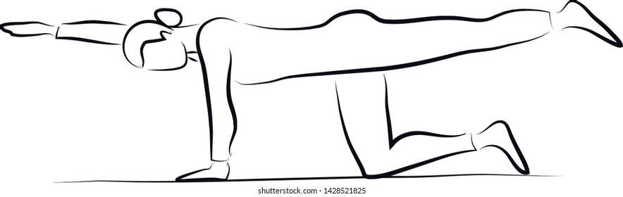 Gymnastic Exercise Workout: Alternate Arm and Leg Balance in Four Point Position. Vector Graphic.