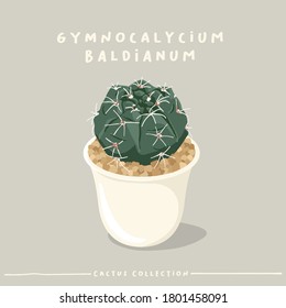 Gymnocalycium : Cactus type collection : Cactus in white small pot isolated on beige background : Vector Illustration