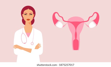 Gynecologist. Antenatal clinic. A young doctor in medical gown and an image of female reproductive organs. Consultation with a gynecologist and fertility specialist.