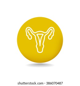 gynecology icon