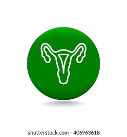 gynecology icon