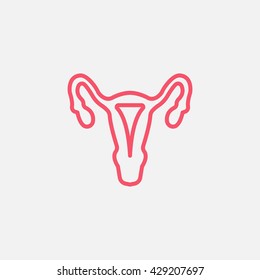 Gynecology icon vector, 