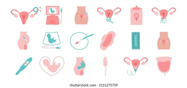 Los íconos de ginecología y obstetricia se establecen. Ultrasonido, chequeo, fertilización artificial, cirugía ginecológica, píldoras anticonceptivas, menstruación. Ultrasonido, fertilización artificial, embarazo, feto.