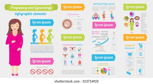 Gynecology and pregnancy infographic template. Motherhood elements. Constructor for creating your own design, infographics. Vector illustration