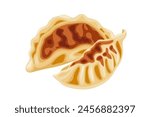 Gyoza on a white background.Cartoon vector