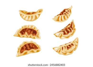 Gyoza on a white background.Cartoon vector