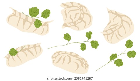 Gyoza and parsley. Chinese dim sum food vector illustration. Graphic print for stickers, menus, restaurant designs, web