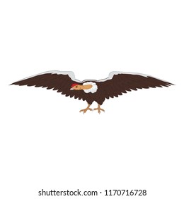 Gyps indicus icon illustration isolated vector sign symbol white background. Animal figure.