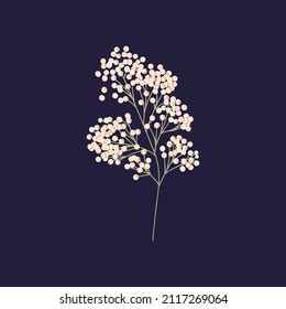 Gypsophila Branch With Small White Flowers. Dry Baby Breath, Decorative Floral Plant. Pretty Gentle And Elegant Stem With Little Soft Blooms, Buds. Isolated Botanical Flat Vector Illustration