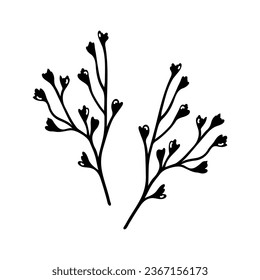 Gypsophila branches vector icon. Baby's breath flowers isolated on white. Beautiful vintage plant for a wedding, a date. Hand drawn herb. Black silhouette, doodle. Botanical clipart for cards, print