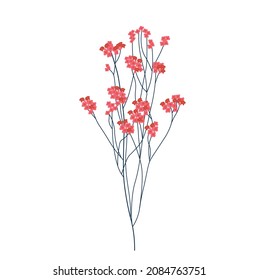 Gypsophila pink vector stock illustration. A branch of dry red flowers. Isolated on a white background.