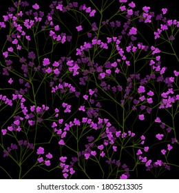 Gypsophila seamless floral pattern. Vector illustration