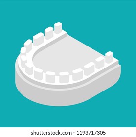 Gypsum jaw for dentist isolated. Cast of teeth. Dentist treatment. Dentistry Vector illustration