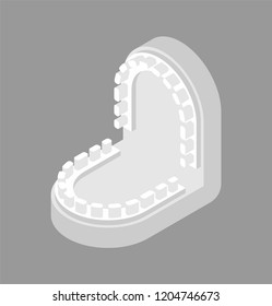 Gypsum jaw for dentist isolated. Cast of teeth. Dentist treatment. Dentistry Vector illustration