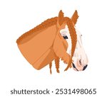 Gypsy Cob horse head with braided hair, mane. Beautiful bicolor stallion. Purebred thoroughbred equine animal, steed avatar, face portrait. Flat vector illustration isolated on white background