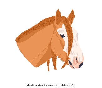 Cabeça de cavalo de Cob cigano com cabelo trançado, crina. Belo garanhão bicolor. Equídeo puro-sangue puro-sangue, avatar de cordeiro, retrato facial. Ilustração de vetor plano isolada no plano de fundo branco