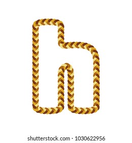 H Braid Letter Logo Icon Design