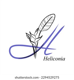 H    Heliconia  Lobster Claw  False Bird Paradise  ABC and flowers  Series letters A  Z  Images plants  Minimalism  Beautiful letters  Line drawing  logo design initial H combine and flowers 