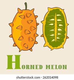 H for horned melon. Vector Illustration, hand-drawn style.
