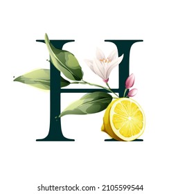 H letter logo with lemons in vector watercolor style. Illustration of green leaves, flowers, buds, and branches. Citrus fruit slices and splashing juice arrangements.