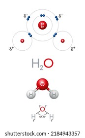 H2O, water molecule, planetary model, chemical and structural formula. Polar covalent bonds between oxygen and hydrogen atoms, with weakly negative and positive partial charge, for the hydrogen bonds.