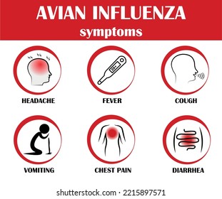 H7N9 Virus, Avian Influenza Symptoms. Vector Illustration